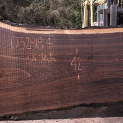 Goby Walnut Products Oregon Black Walnut Slab 032818-04 Green Slabs