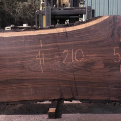 Goby Walnut Products Oregon Black Walnut Slab 032818-04 Green Slabs