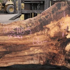 Goby Walnut Products Big Leaf Maple Slab 032918-05 Green Slabs