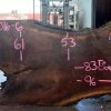 Goby Walnut Oregon Black Walnut Slab 033016-06 Green Slabs