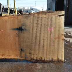 Goby Walnut Products Oregon White Oak Slab 040121-01