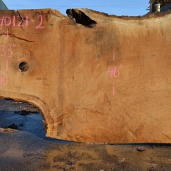 Goby Walnut Products Green Slabs Oregon White Oak Slab 040121-02