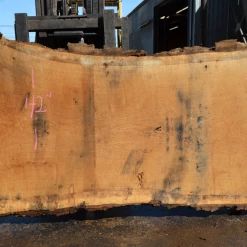 Goby Walnut Products Green Slabs Oregon White Oak Slab 040121-02