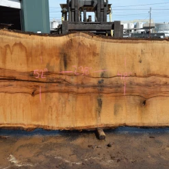 Goby Walnut Products Oregon White Oak Slab 040121-07