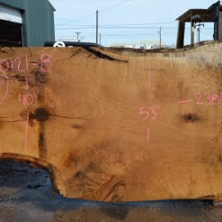 Goby Walnut Products Oregon White Oak Slab 040121-08