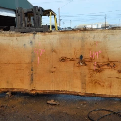 Goby Walnut Products Oregon White Oak Slab 040121-08