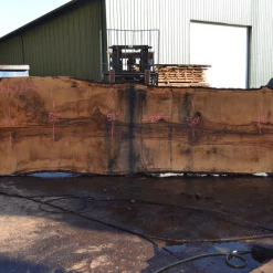 Goby Walnut Products Oregon White Oak Slab 040121-10