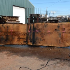 Goby Walnut Products Green Slabs Oregon White Oak Slab 040121-11