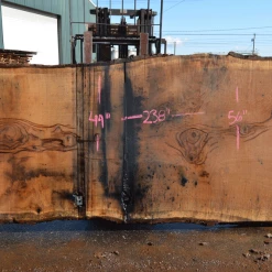 Goby Walnut Products Green Slabs Oregon White Oak Slab 040121-11