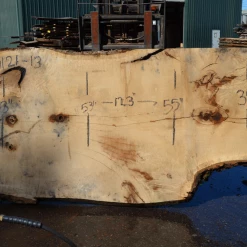 Goby Walnut Products Green Slabs Oregon White Oak Slab 040121-13