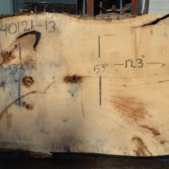 Goby Walnut Products Green Slabs Oregon White Oak Slab 040121-13