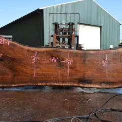 Goby Walnut Products Oregon Black Walnut Slab 040621-01 Green Slabs