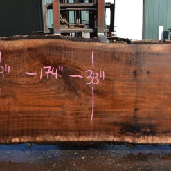 Goby Walnut Products Oregon Black Walnut Slab 040621-01 Green Slabs