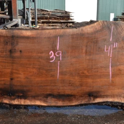 Goby Walnut Products Oregon Black Walnut Slab 040621-01 Green Slabs
