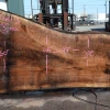 Goby Walnut Products Oregon Black Walnut Slab 040621-03