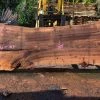 Goby Walnut Green Slabs Elm Slab 040714-02
