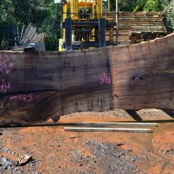 Goby Walnut Elm Slab 040714-03 Green Slabs