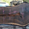 Goby Walnut Products Green Slabs Oregon Black Walnut Slab 040721-05