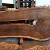 Goby Walnut Products Oregon Black Walnut Slab 040721-07 Green Slabs