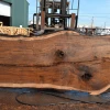 Goby Walnut Products Green Slabs Oregon Black Walnut Slab 040721-08