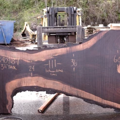 Goby Walnut Products Oregon Black Walnut Slab 040918-01 Green Slabs