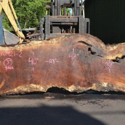 Goby Walnut Products Green Slabs Oregon White Oak Slab 040921-02