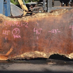 Goby Walnut Products Green Slabs Oregon White Oak Slab 040921-02