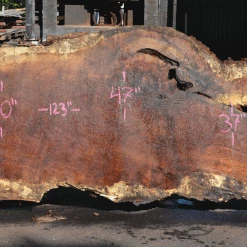 Goby Walnut Products Green Slabs Oregon White Oak Slab 040921-02