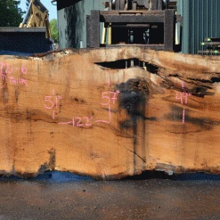 Goby Walnut Products Oregon White Oak Slab 040921-06