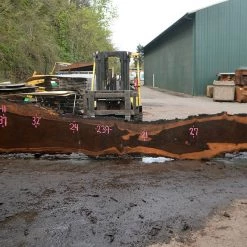 Goby Walnut Products Oregon Black Walnut Slab 041017-11 Green Slabs