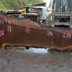 Goby Walnut Products Oregon Black Walnut Slab 041017-11 Green Slabs