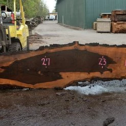 Goby Walnut Products Oregon Black Walnut Slab 041017-11 Green Slabs