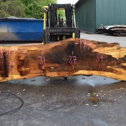 Goby Walnut Products 041319-05 Oregon White Oak Slab Green Slabs