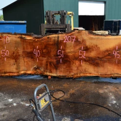 Goby Walnut Products Green Slabs 041319-10 Oregon White Oak Slab