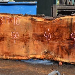 Goby Walnut Products Green Slabs 041319-10 Oregon White Oak Slab