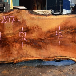 Goby Walnut Products Green Slabs 041319-10 Oregon White Oak Slab