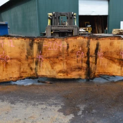 Goby Walnut Products 041319-12 Oregon White Oak Slab Green Slabs