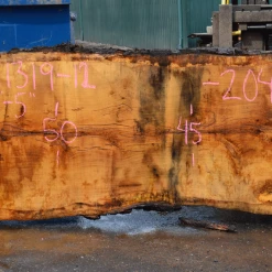 Goby Walnut Products 041319-12 Oregon White Oak Slab Green Slabs