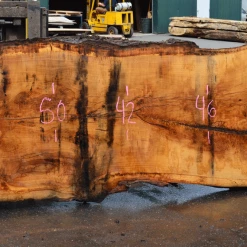 Goby Walnut Products 041319-12 Oregon White Oak Slab Green Slabs