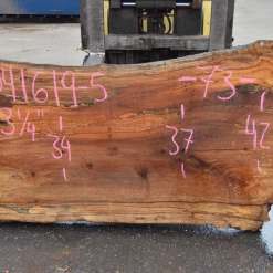 Goby Walnut Products Green Slabs 041619-05 Big Leaf Maple Slab