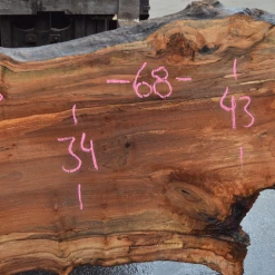 Goby Walnut Products Green Slabs 041619-06 Big Leaf Maple Slab