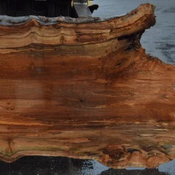 Goby Walnut Products 041619-07 Big Leaf Maple Slab Green Slabs