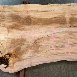 Goby Walnut Products Green Slabs 041619-03 Big Leaf Maple Slab