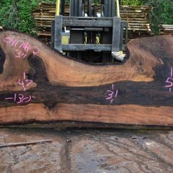 Goby Walnut Bastogne Walnut Slab 041714-02