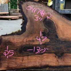 Goby Walnut Bastogne Walnut Slab 041714-02