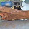Goby Walnut Products Green Slabs 041719-01 Big Leaf Maple Slab