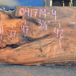 Goby Walnut Products 041719-04 Big Leaf Maple Slab Green Slabs
