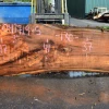 Goby Walnut Products 041719-05 Big Leaf Maple Slab Green Slabs
