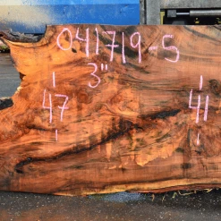 Goby Walnut Products 041719-05 Big Leaf Maple Slab Green Slabs