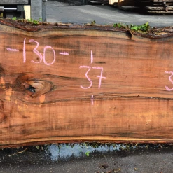 Goby Walnut Products 041719-05 Big Leaf Maple Slab Green Slabs